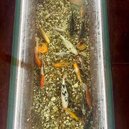 شاليه Gardunha Stone Lourical do Campo